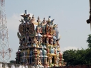srivaikuntam_15