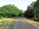 nava-tirupati_16