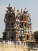 srivaikuntam_16