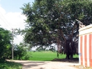 tirupuliyangudi_16