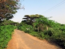 nava-tirupati_17