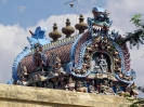 tirupuliyangudi_17