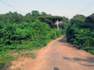 nava-tirupati_18