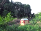 nava-tirupati_19
