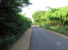 nava-tirupati_20