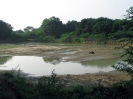 nava-tirupati_22