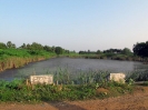 nava-tirupati_23