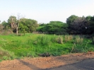 nava-tirupati_24