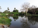nava-tirupati_25