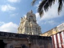 alwar-tirunagari_26
