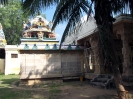 srivaikuntam_26