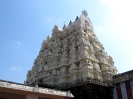 alwar-tirunagari_28