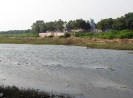 nava-tirupati_2