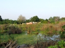 nava-tirupati_30
