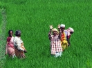 nava-tirupati_31