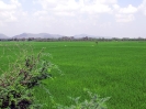 nava-tirupati_32