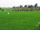 nava-tirupati_33