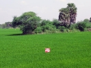 nava-tirupati_35