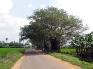 nava-tirupati_37