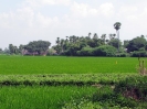 nava-tirupati_39