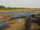 nava-tirupati_3