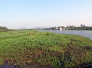 srivaikuntam_3