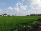 nava-tirupati_40
