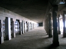 srivaikuntam_6
