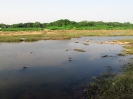 nava-tirupati_6