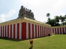 tirupuliyangudi_7