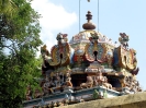 varagunamangai_8