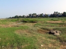 nava-tirupati_9