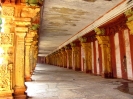 nanguneri_14