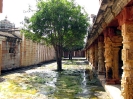 nanguneri_15