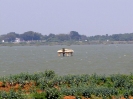 nanguneri_36