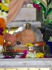 Krishna-Balaram-mandir_118