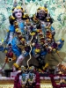 Krishna-Balaram-mandir_120