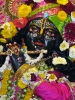 Krishna-Balaram-mandir_131