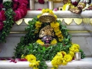 Krishna-Balaram-mandir_13