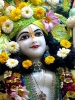 Krishna-Balaram-mandir_162