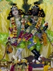 Krishna-Balaram-mandir_179