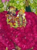 Krishna-Balaram-mandir_188