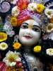 Krishna-Balaram-mandir_192
