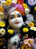 Krishna-Balaram-mandir_193
