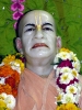 Krishna-Balaram-mandir_198