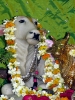 Krishna-Balaram-mandir_204