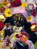 Krishna-Balaram-mandir_211