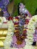 Krishna-Balaram-mandir_216