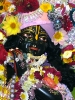 Krishna-Balaram-mandir_220