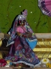 Krishna-Balaram-mandir_225
